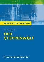 bokomslag Textanalyse und Interpretation zu Hermann Hesse. Der Steppenwolf
