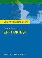 bokomslag Textanalyse und Interpretation zu Theodor Fontane. Effi Briest