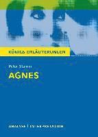 bokomslag Agnes. Textanalyse und Interpretation zu Peter Stamm. Agnes