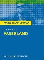 bokomslag Faserland Textanalyse und Interpretation zu Christian Kracht