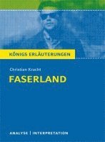 bokomslag Faserland Textanalyse und Interpretation zu Christian Kracht