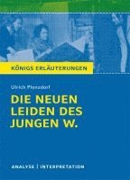 Die neuen Leiden des jungen W. von Ulrich Plenzdorf. Textanalyse und Interpretation 1