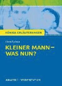 bokomslag Kleiner Mann - was nun?