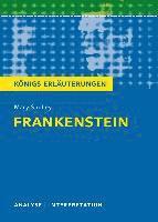 bokomslag Frankenstein. Textanalyse und Interpretation