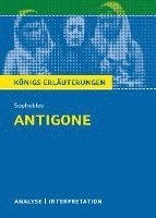 bokomslag Antigone von Sophokles