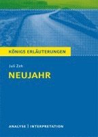 bokomslag Neujahr von Juli  Zeh