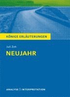 Neujahr von Juli  Zeh