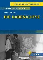 bokomslag Die Habenichtse - Textanalyse und Interpretation