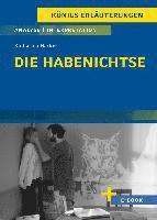 Die Habenichtse - Textanalyse und Interpretation 1