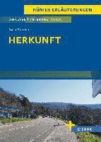 Sasa Stanisic - Herkunft - Textanalyse und Interpretation, Häftad