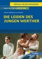 bokomslag Die Leiden des jungen Werther von Johann Wolfgang von Goethe - Textanalyse und Interpretation