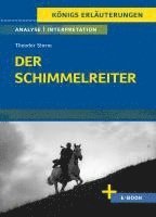 bokomslag Der Schimmelreiter von Theodor Storm.