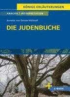bokomslag Die Judenbuche von Annette von Droste-Hülshoff - Textanalyse und Interpretation