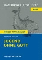 bokomslag Jugend ohne Gott (Textausgabe)