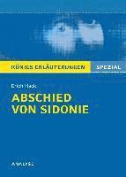 bokomslag Abschied von Sidonie von Erich Hackl. Königs Erläuterungen Spezial.