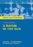 bokomslag A Raisin in the Sun von Lorraine Hansberry