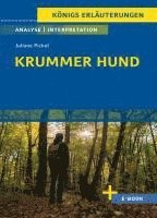 bokomslag Krummer Hund von Juliane Pickel - Textanalyse und Interpretation