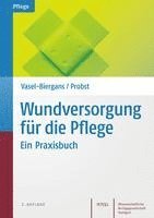 bokomslag Wundversorgung für die Pflege