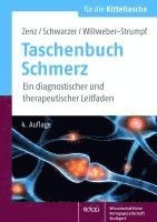 bokomslag Taschenbuch Schmerz