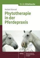 bokomslag Phytotherapie in der Pferdepraxis