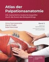 bokomslag Atlas Der Palpationsanatomie Band 2: Die Menschliche Anatomie Begreifen Durch Die Kunst Des Bodypaintings