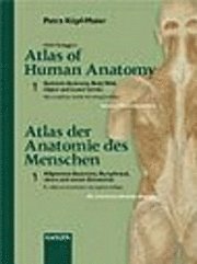 Wolf-Heidegger's Atlas of Human Anatomy / Wolf-Heideggers Atlas der Anatomie des Menschen: v. 1 Systemic Anatomy, Body Wall, Upper and Lower Limbs 1