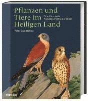 Peter Goodfellow - Pflanzen und Tiere im Heiligen  Land, Inbunden
