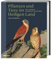 bokomslag Pflanzen und Tiere im Heiligen  Land