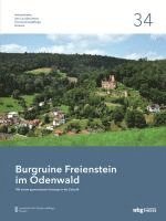 bokomslag Burgruine Freienstein im Odenwald