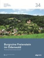 Burgruine Freienstein im Odenwald 1