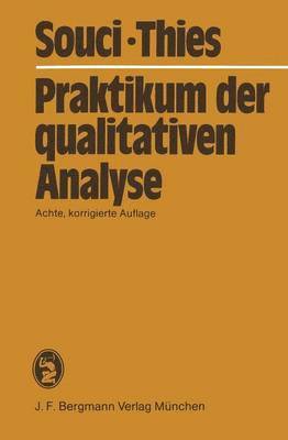 bokomslag Praktikum der qualitativen Analyse
