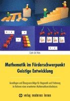 bokomslag Mathematik im Förderschwerpunkt Geistige Entwicklung