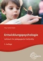 Holger Küls, Bodo Rödel, Hartmut Kasten, Melanie Willich, Bärbel Amerein, Anja Tüngler - Entwicklungspsychologie, Häftad