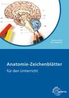 bokomslag Anatomie Zeichenblätter