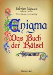 bokomslag Enigma: Das Buch der Rätsel