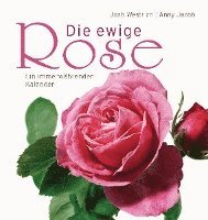 bokomslag Die ewige Rose