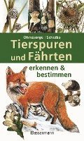 bokomslag Tierspuren und Fährten erkennen & bestimmen