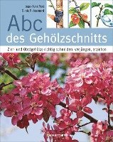 bokomslag Abc des Gehölzschnitts