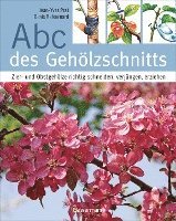bokomslag Abc des Gehölzschnitts