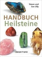 bokomslag Handbuch Heilsteine