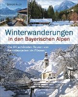 bokomslag Winterwanderungen in den Bayerischen Alpen. Die 44 schönsten Touren zu durchgehend geöffneten Hütten und über 35 weitere Wanderziele in Kürze