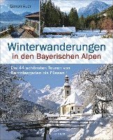 Simon Auer - Winterwanderungen in den Bayerischen Alpen. Die 44 schönsten Touren zu durchgehend geöffneten Hütten und über 35 weitere Wanderziele in Kürze, Inbunden