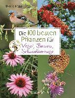 bokomslag Die 100 besten Pflanzen für Vögel, Bienen, Schmetterlinge