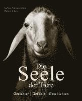 bokomslag Die Seele der Tiere. Gesichter. Gefühle. Geschichten