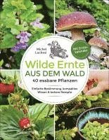 bokomslag Wilde Ernte aus dem Wald - 40 essbare Pflanzen - einfache Bestimmung, kompaktes Wissen und leckere Rezepte