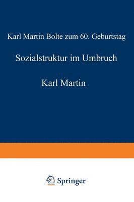 bokomslag Sozialstruktur im Umbruch