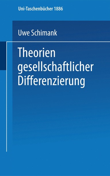 bokomslag Theorien gesellschaftlicher Differenzierung