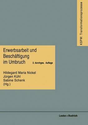 bokomslag Erwerbsarbeit und Beschftigung im Umbruch