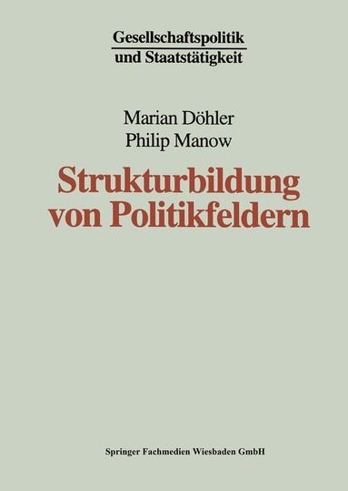 bokomslag Strukturbildung von Politikfeldern