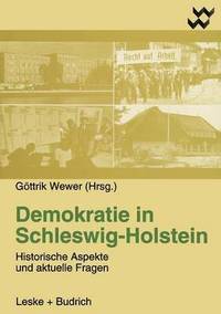 bokomslag Demokratie in Schleswig-Holstein